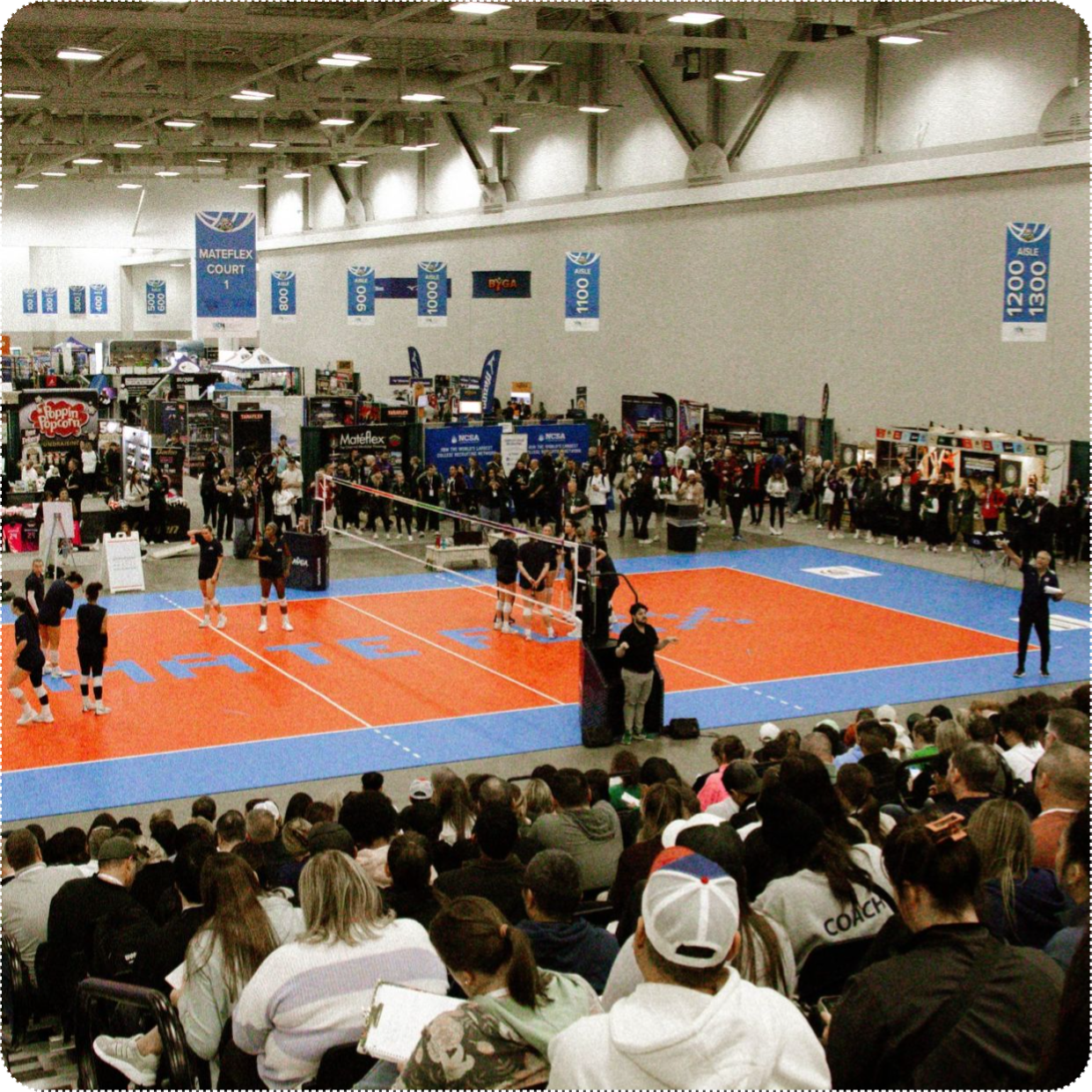 AVCA Convention